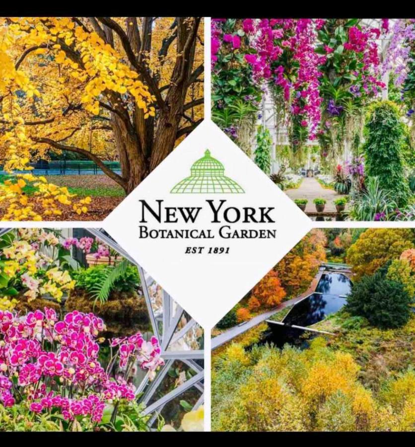 Apartamento First Floor Of Beautiful House Totally Private Nova York