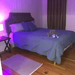 Golden Suite