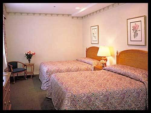The At 3*