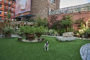 Soho Grand 4* Nova York