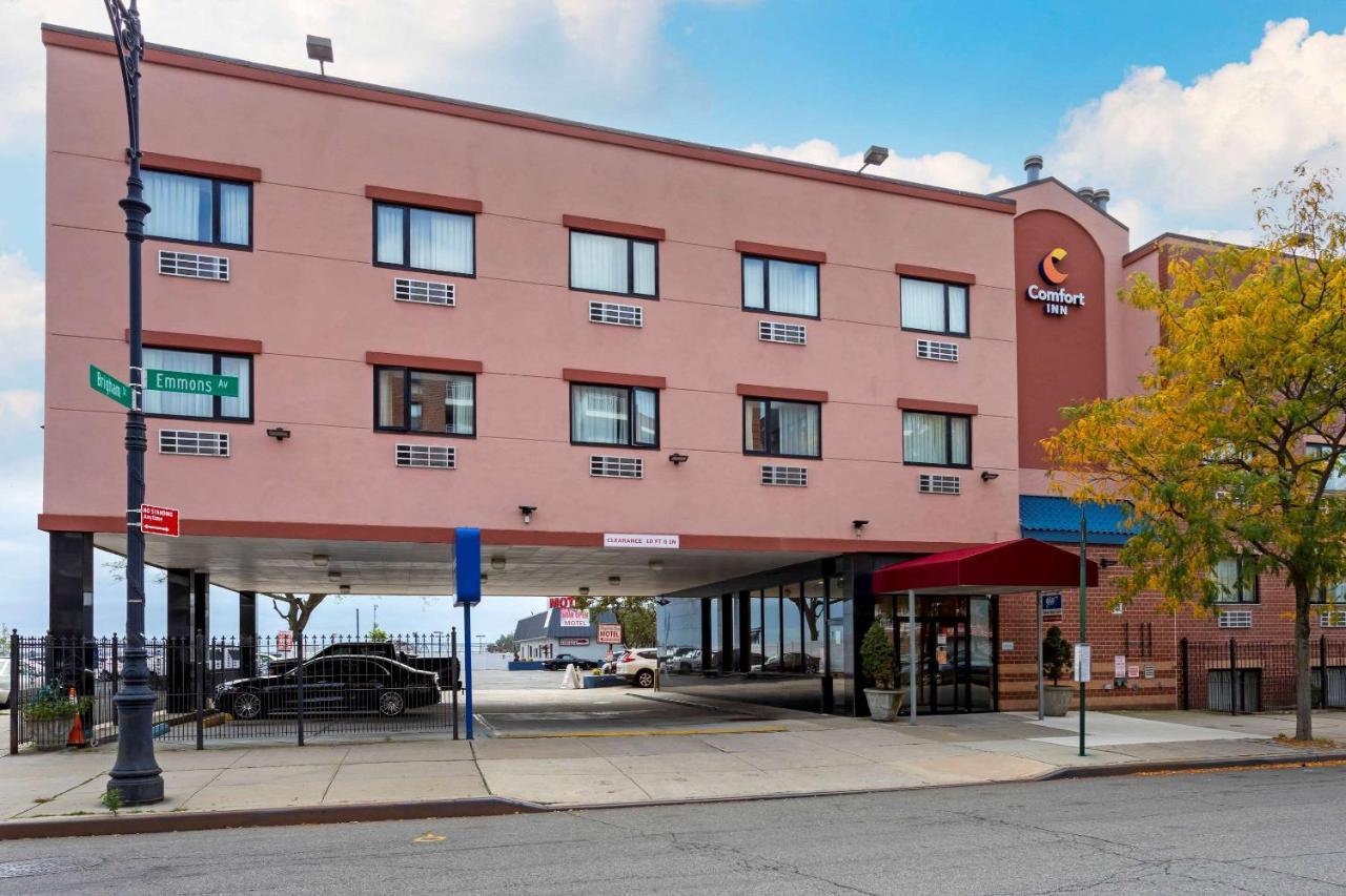 Comfort Brooklyn Nova York