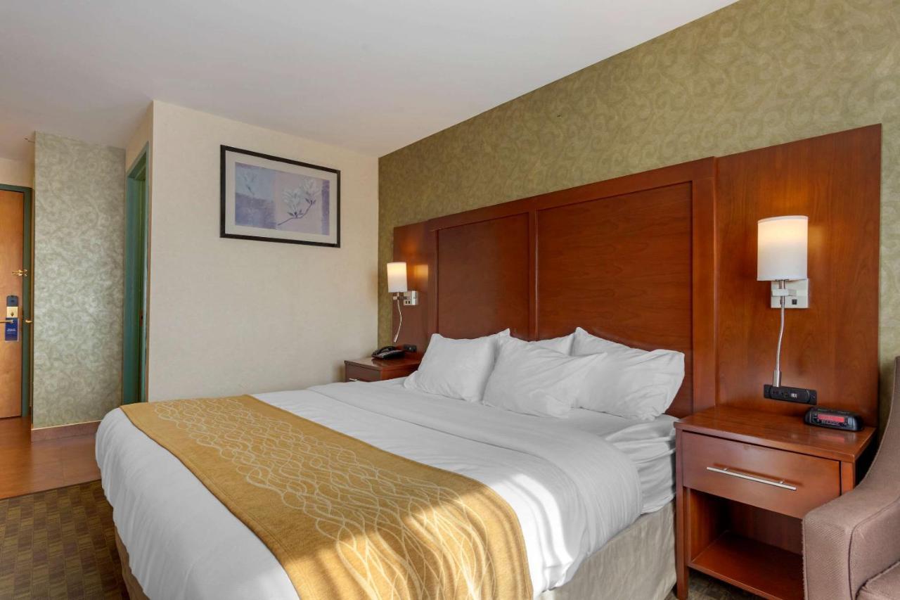 Comfort Brooklyn Hotel Nova York