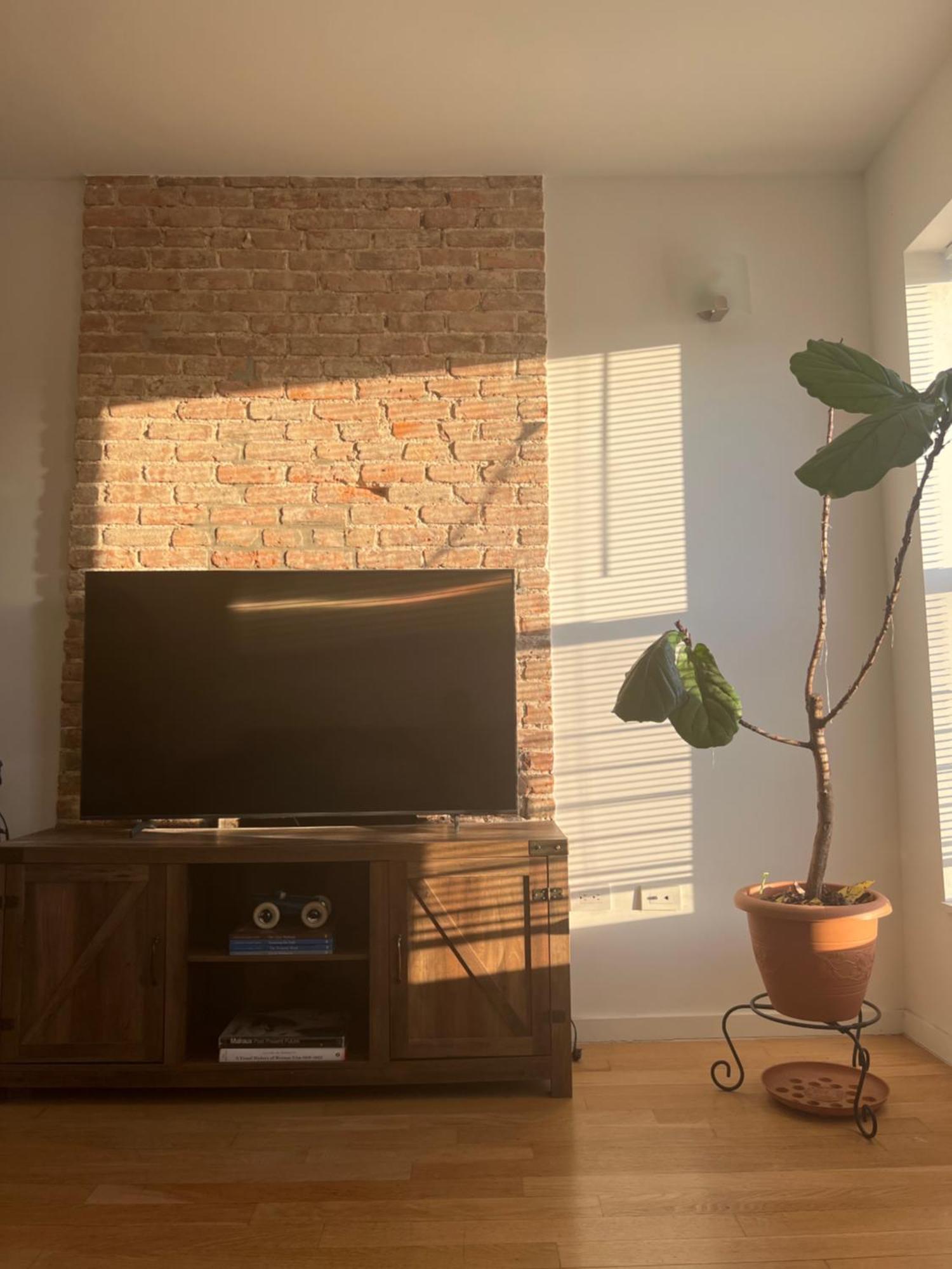 1 Bedroom In In Bedstuy Brooklyn