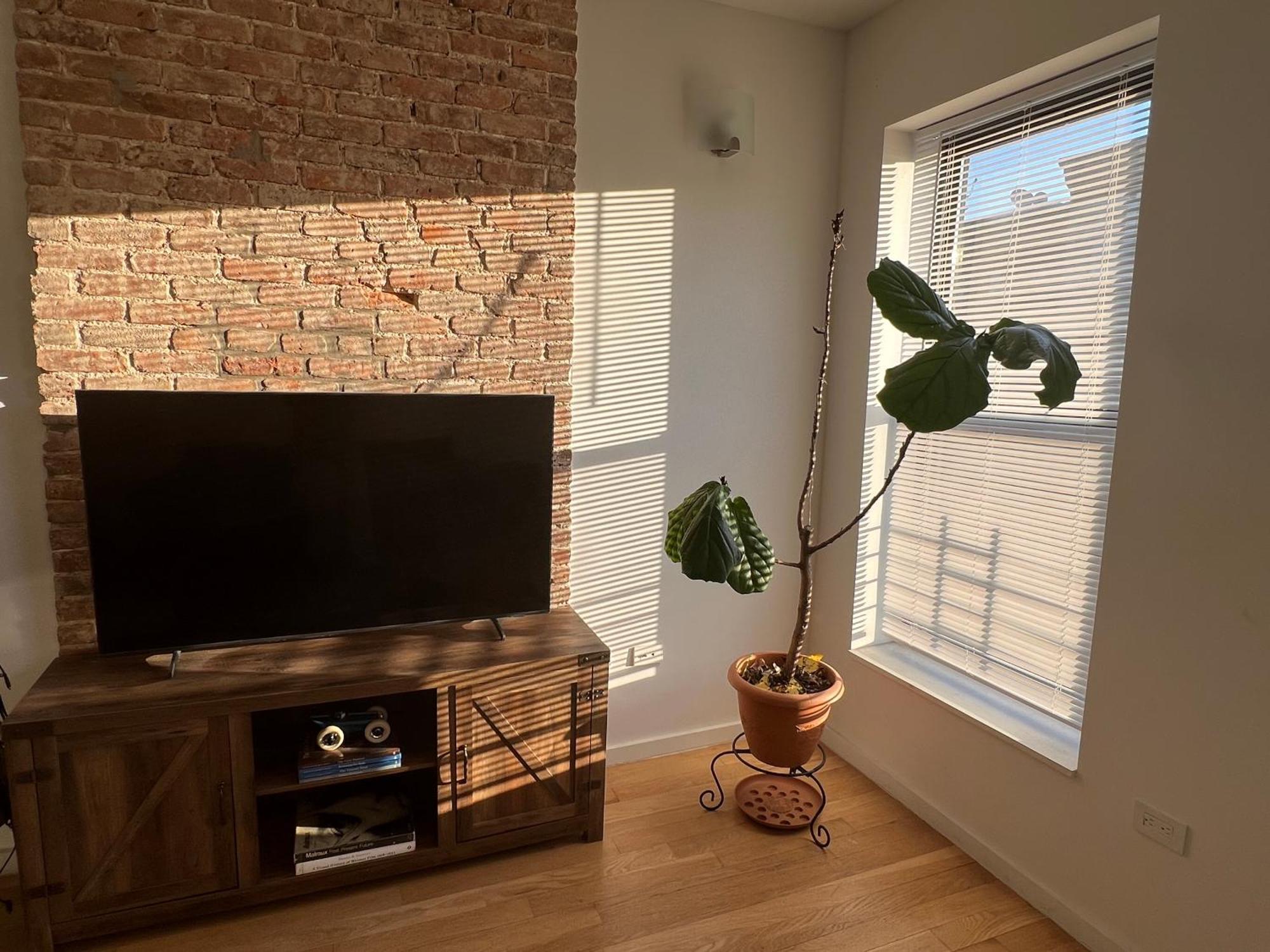 1 Bedroom In In Bedstuy Brooklyn *