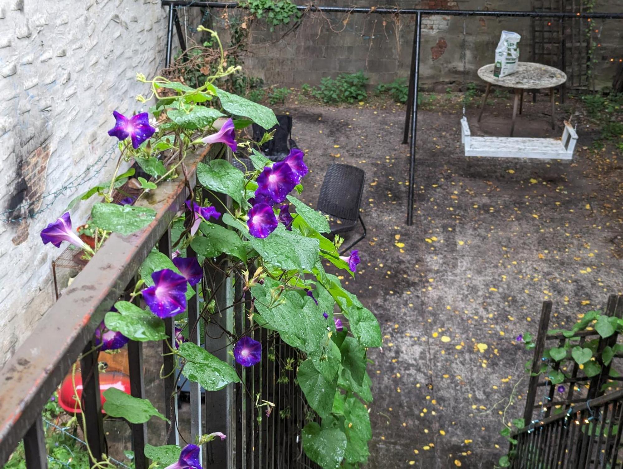 Central & Affordable Williamsburg Private Bedroom Close To Subway Privatunterkunft New York