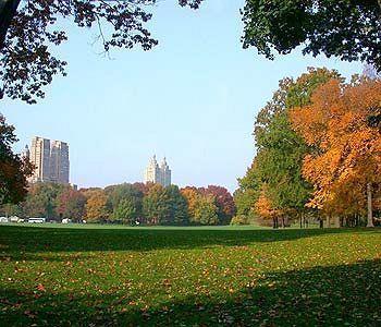 Park Savoy Hotel New York