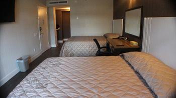 Hotel Cliff 3*