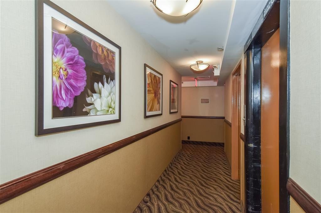 Hotel Anchor 3*