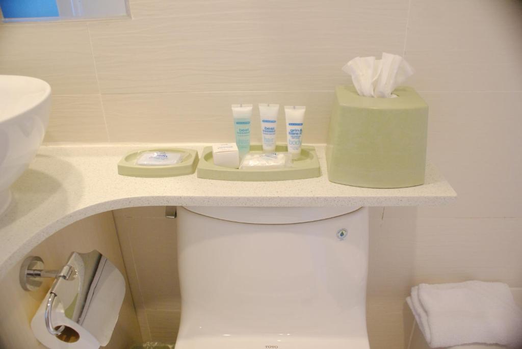 Wyndham Garden Long Island 3* Nova York