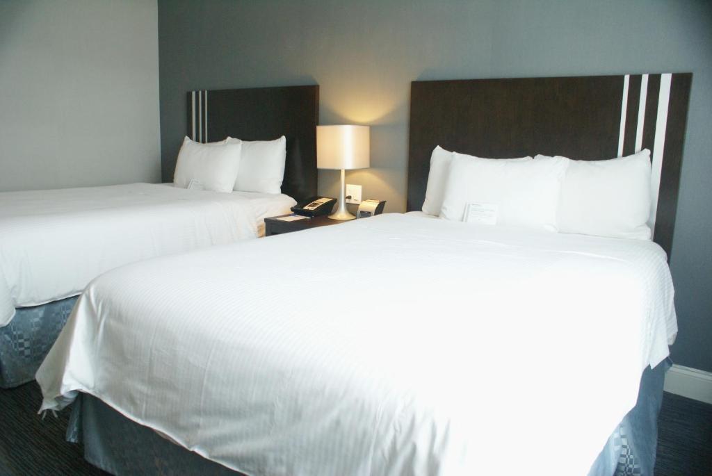 Wyndham Garden Long Island Hotel Nova York
