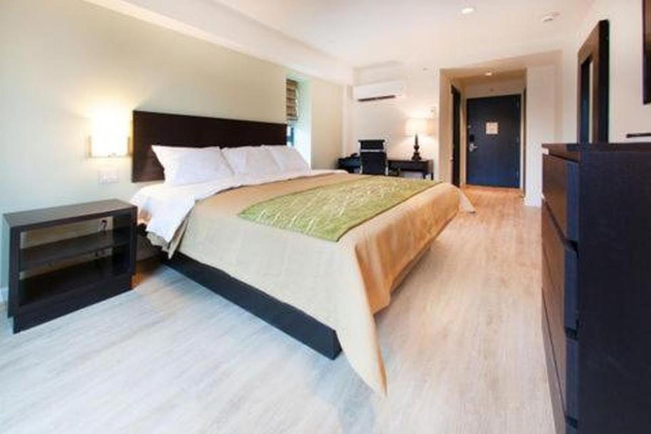 Comfort & - Kew Gardens Near La Guardia Airport