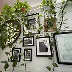 Derive Stays - Affordable Brooklyn Apt. W/ Balcony