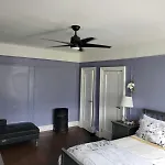 Brooklyn Flat Tropical Vibe