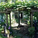 The Sofia Inn