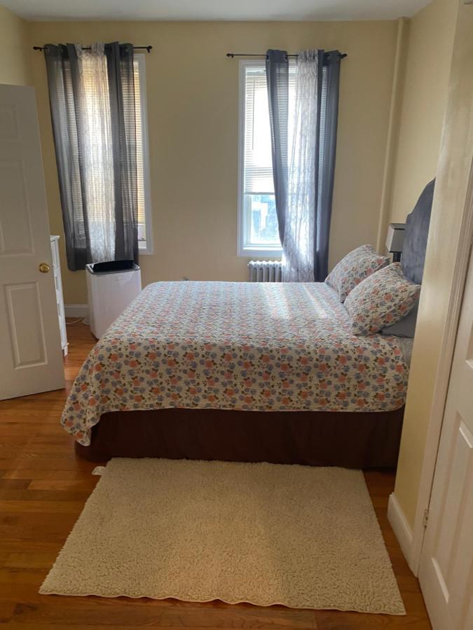 Apartment Brooklyn Cream Puff