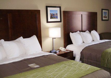 Comfort Hotel Nova York