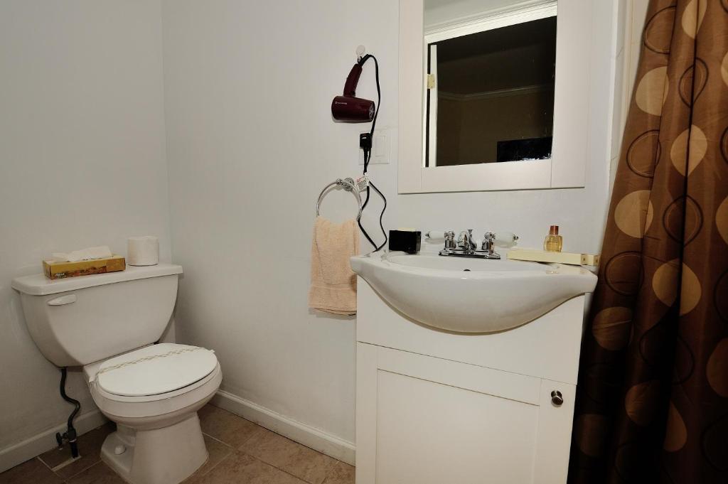 Midwood Brooklyn Apartment *