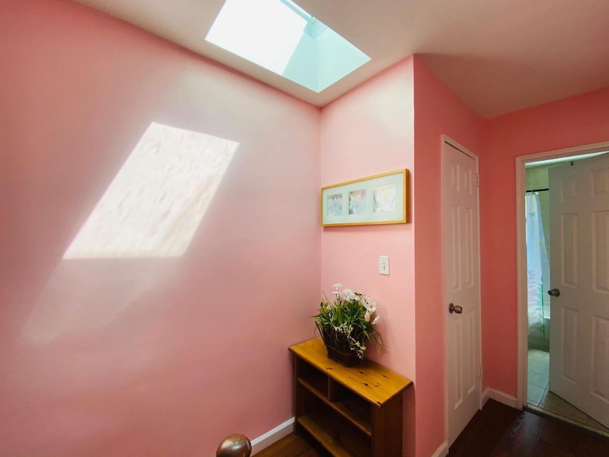 The Pink Paradise