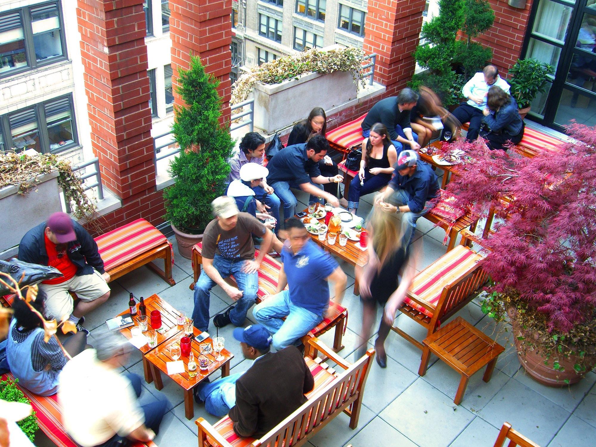 Giraffe By Library Collection 4* New York