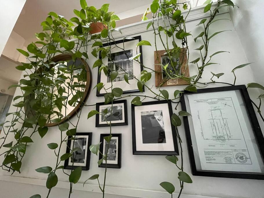 Apartment Derive Stays - Affordable Brooklyn Apt. W/ Balcony New York