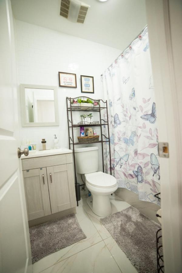 Homestay Floor With Skylight Brooklyn New York