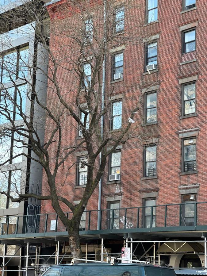 Classic Soho - Cozy / Perfect Location