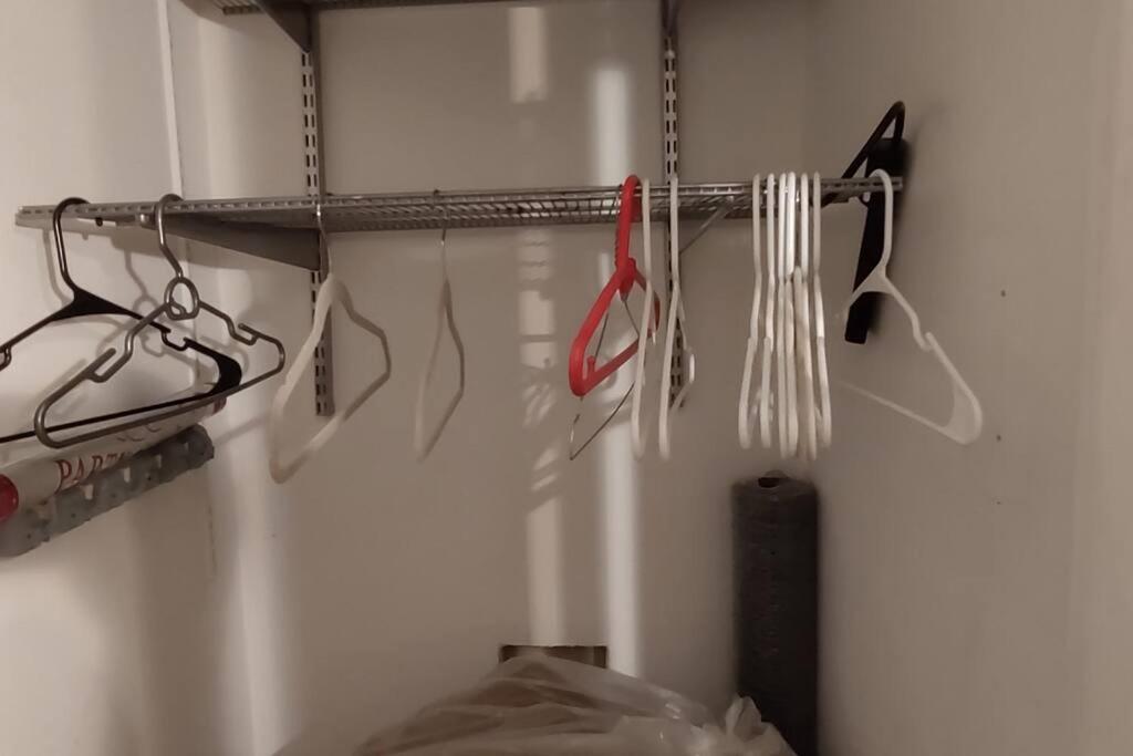 Fawlty Towers In Williamsburg Apartment