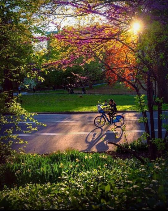 Central Park Plaza New York