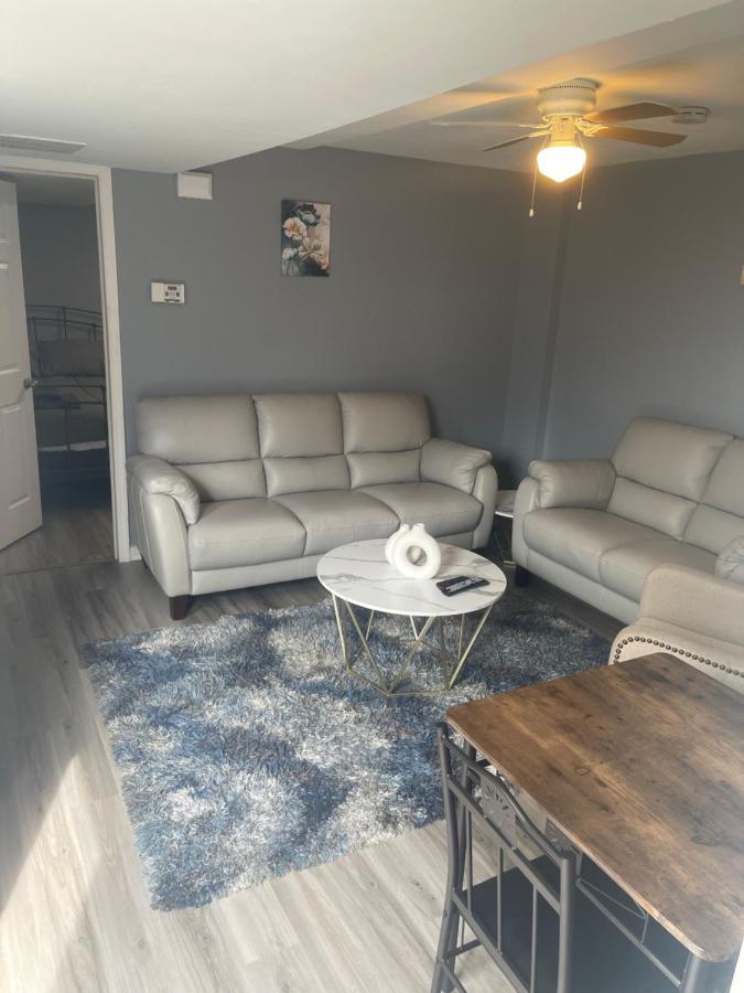 Modern One Bedroom