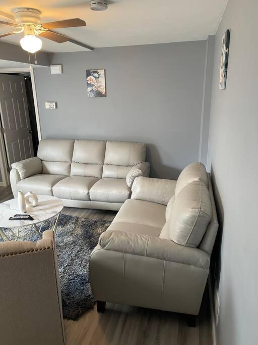 Modern One Bedroom Apartment *