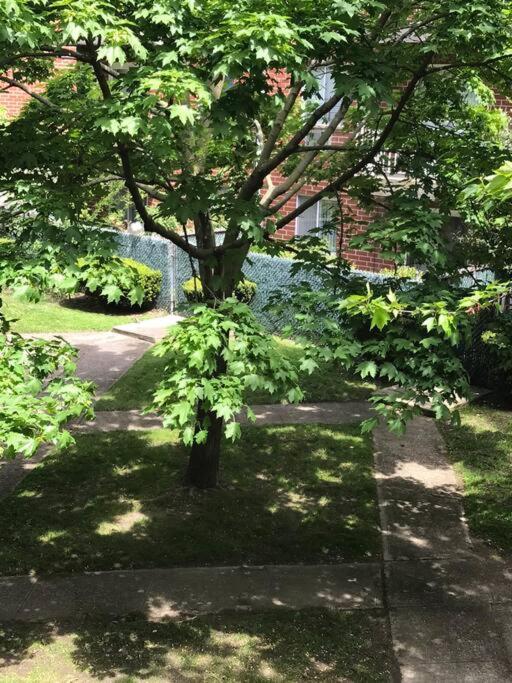 Brooklyn Luxury Spring Retreat With Private Outdoor Space * Nova York