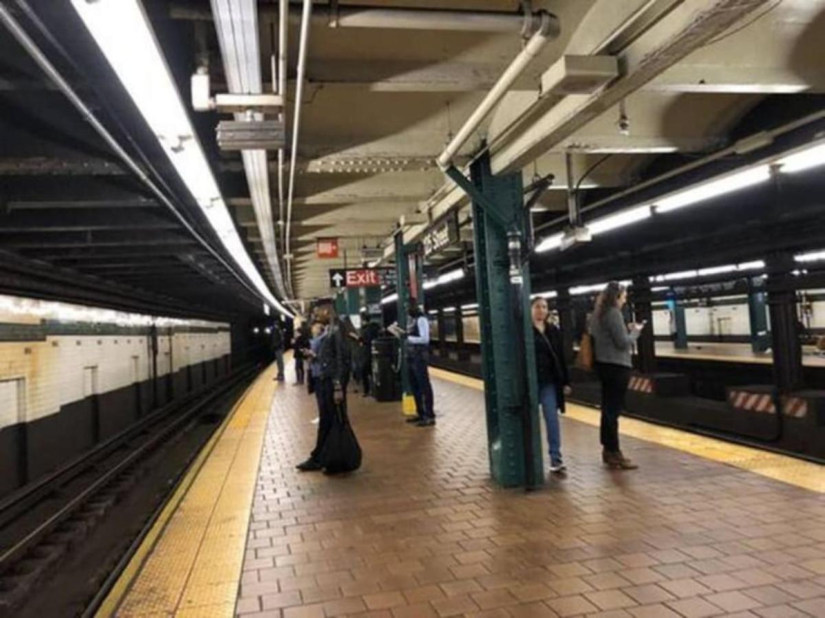 Newly Renovated 3br Oasis Walk To Columbia Uni *