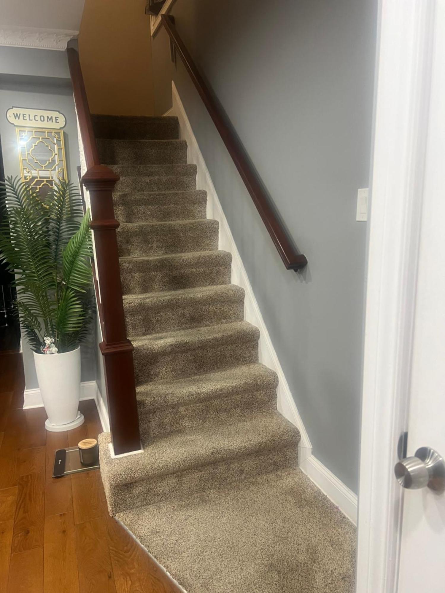 Don Cozy Grey Homestay New York