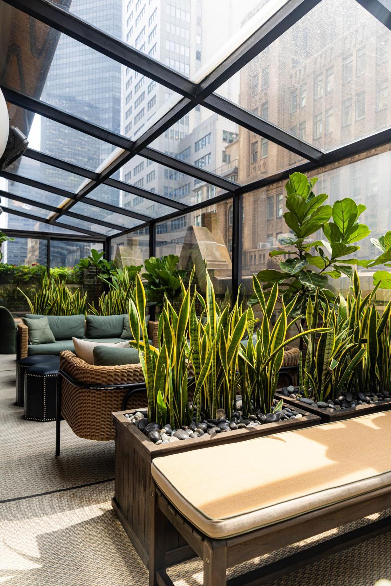 Library By Library Collection Hotel 4*