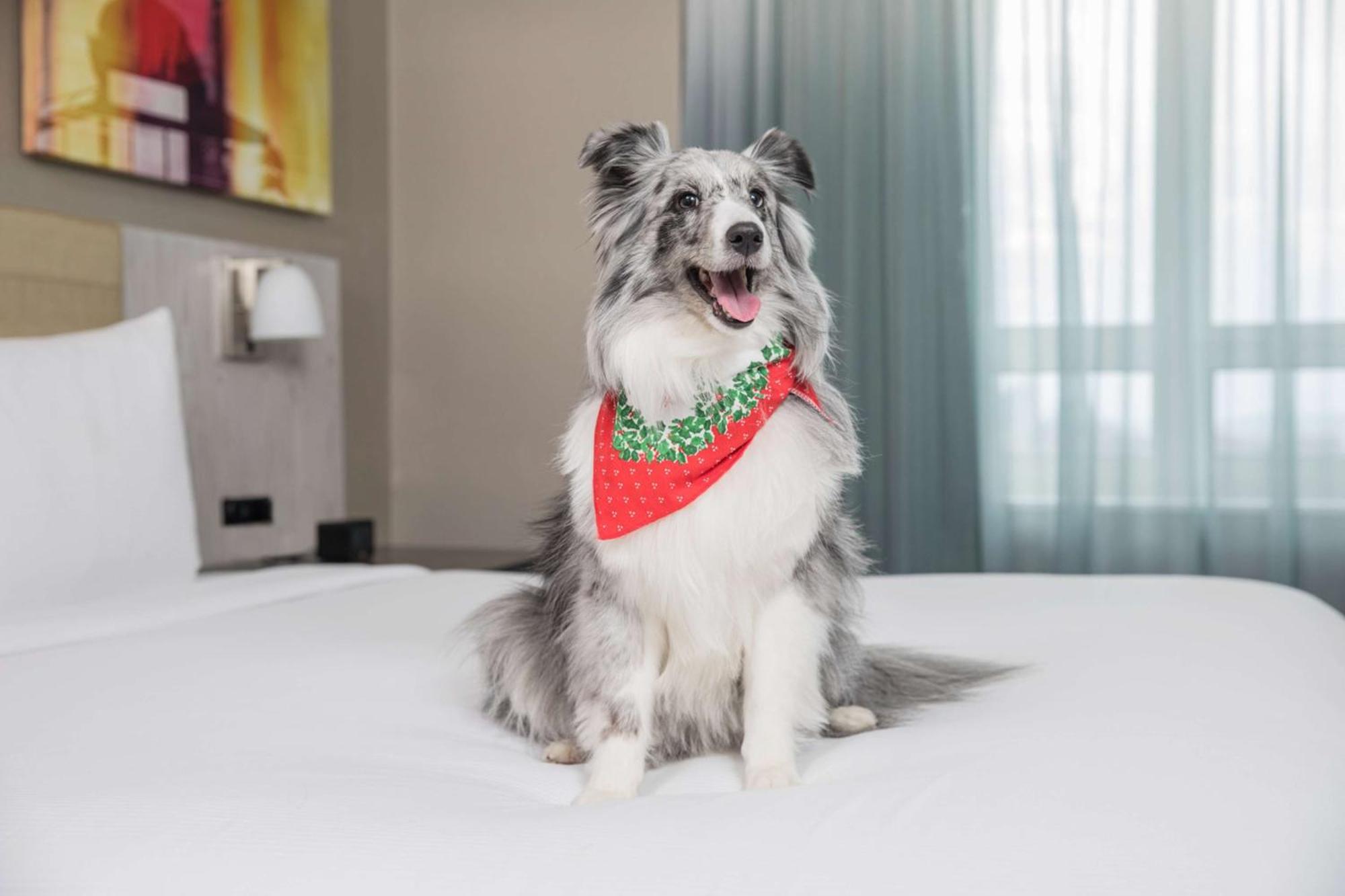 Hotel Doubletree By Hilton New York Times Square West Nova York