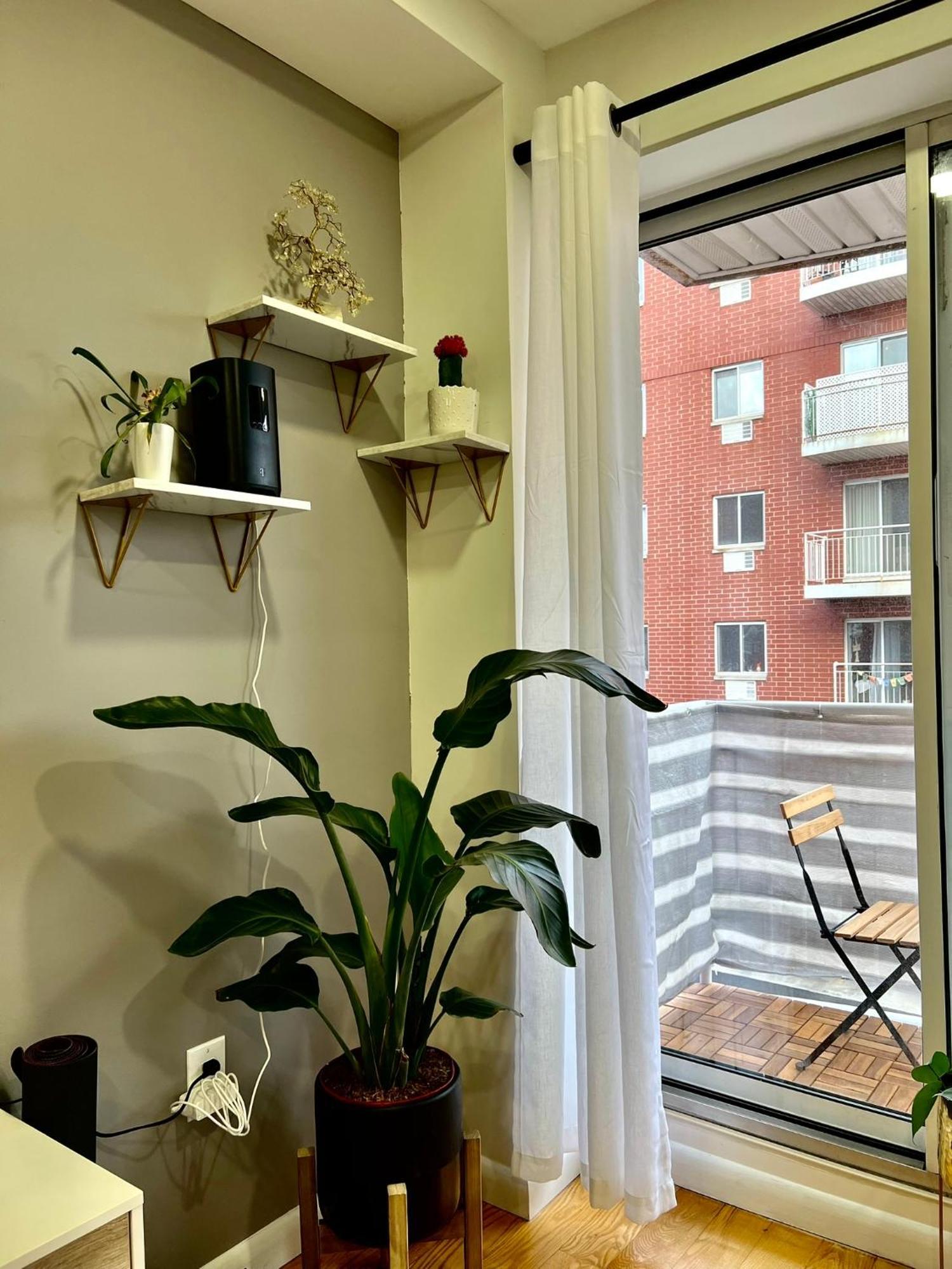 Cozy In * New York