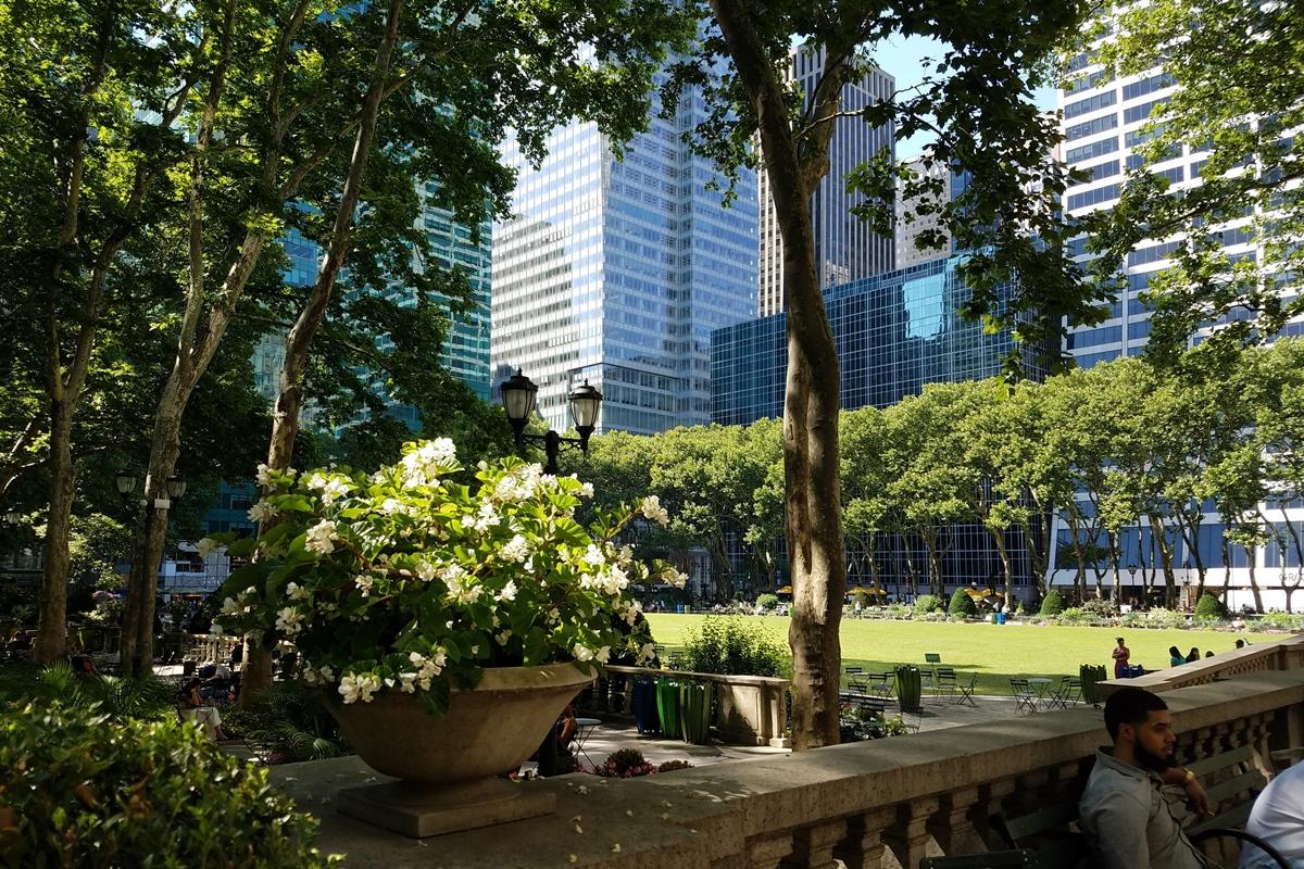 Westgate Grand 4* Nova York