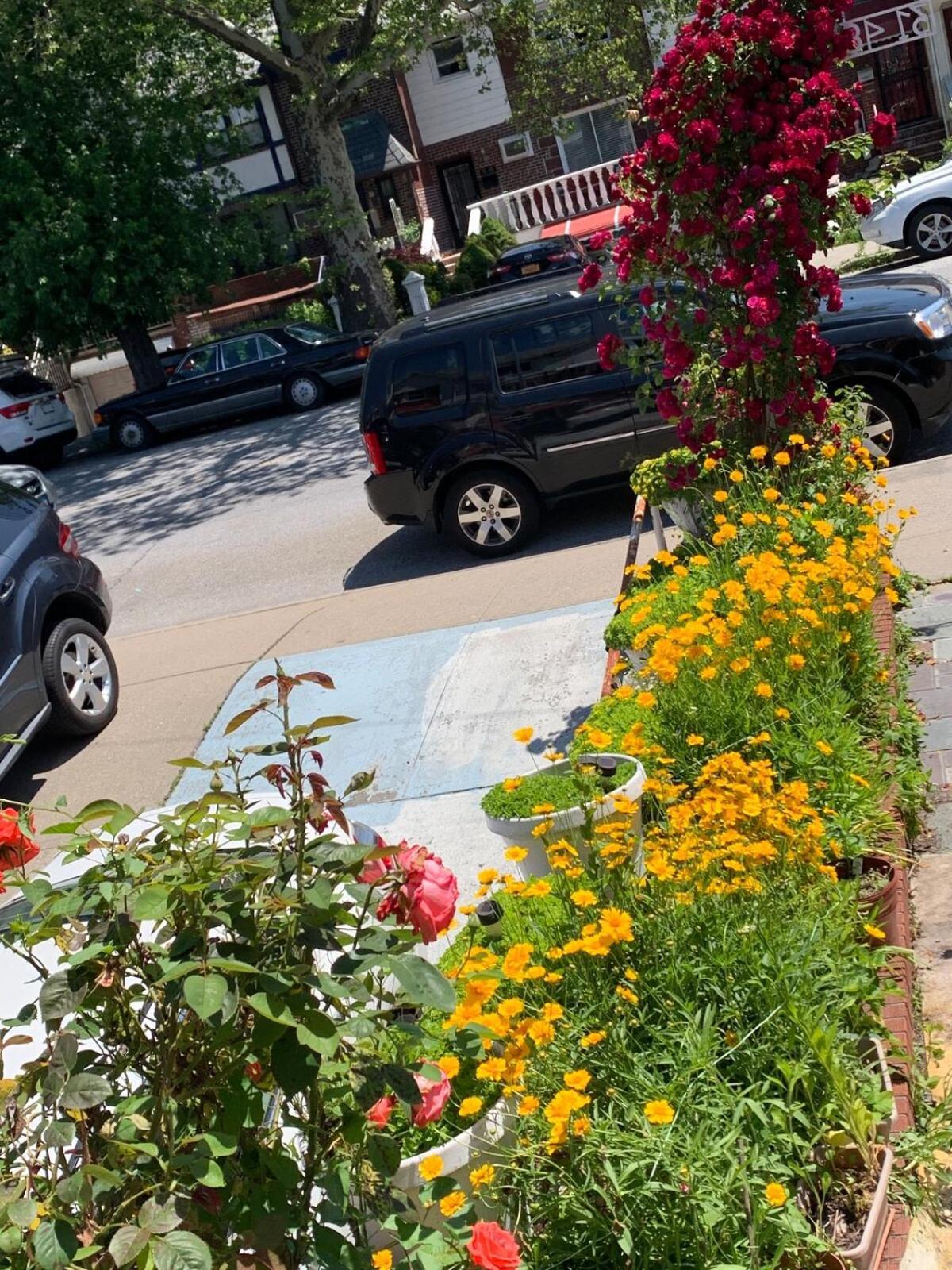 Hospedagem domiciliar Cheerful 2 Bed In Heart Of Queens *