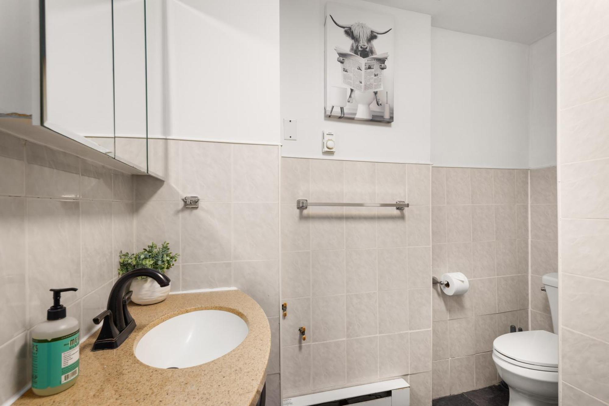 Stylish And Spacious 3 Bdr Unit In Dumbo Nyc Apartment