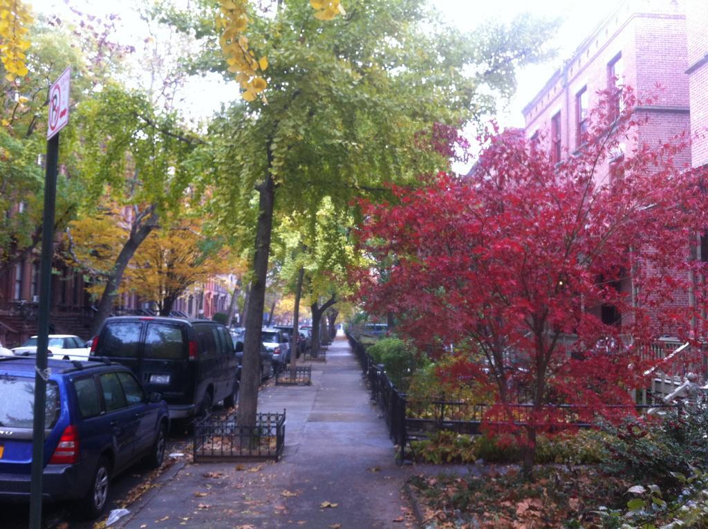 Great Cozy Apt Apartment New York