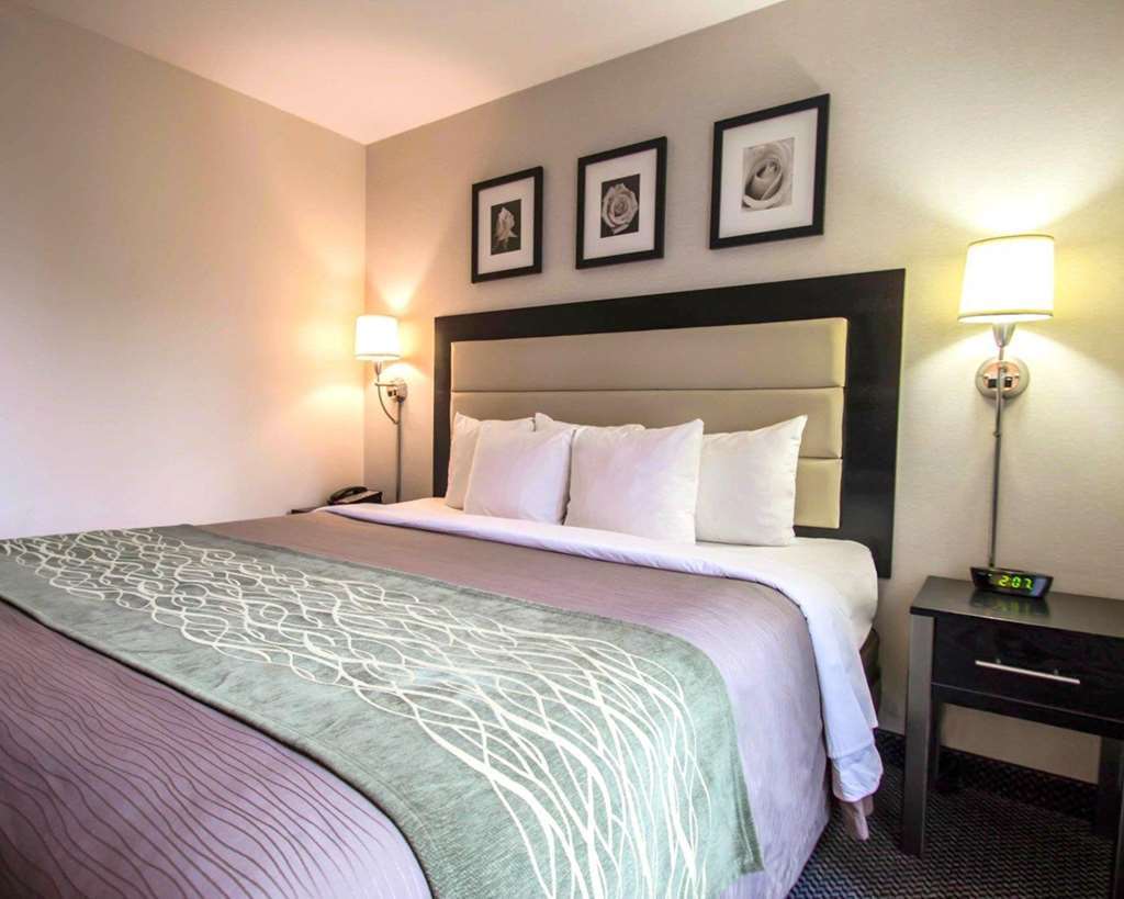 Hotel Comfort Times Square South Area New York