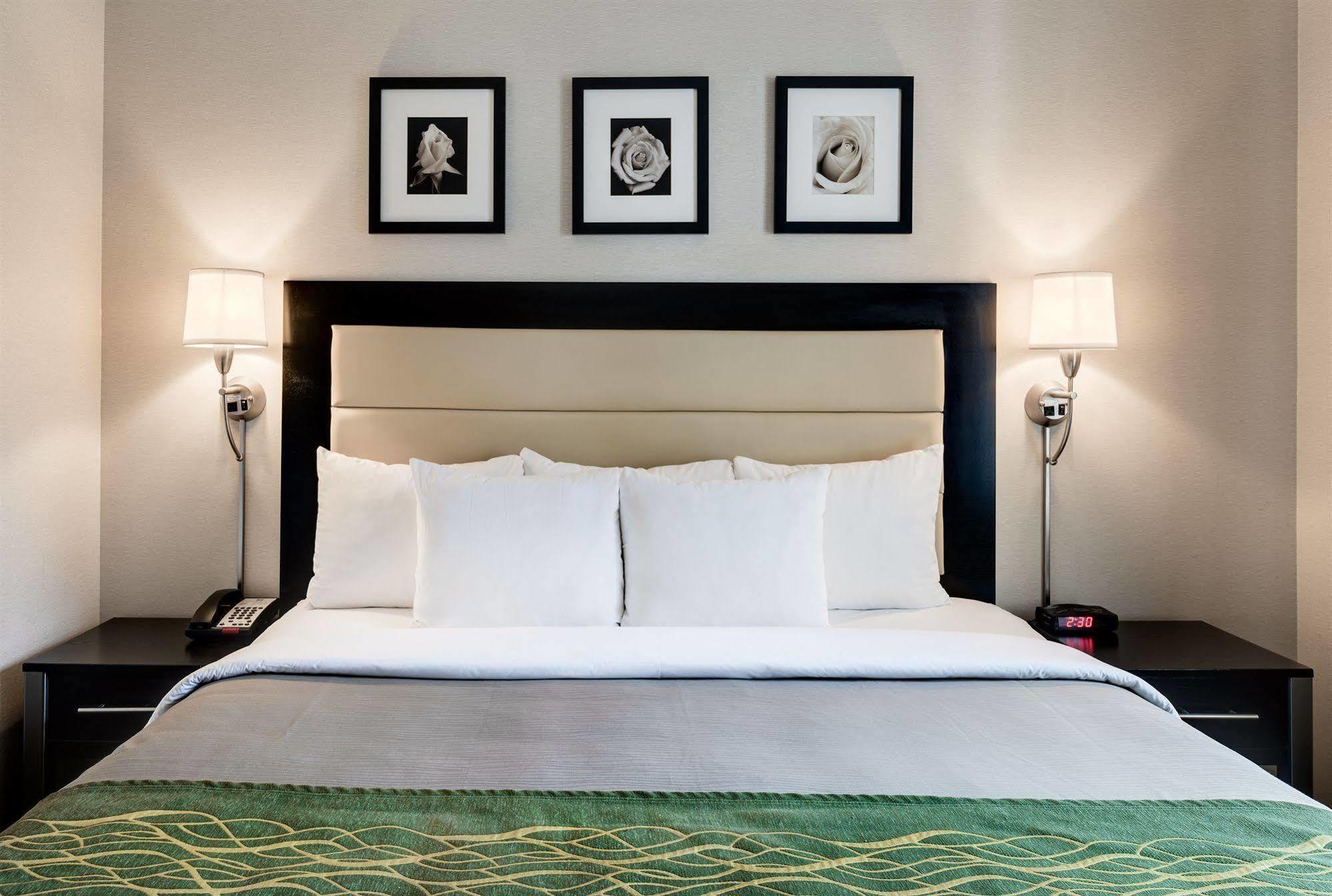 Hotel Comfort Times Square South Area