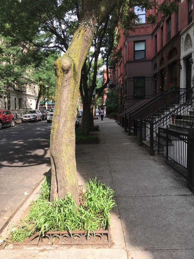 Nyc Townhouse 2* New York