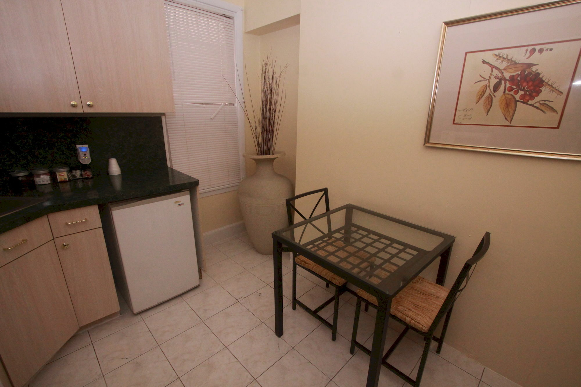 Midwood Brooklyn Apartment