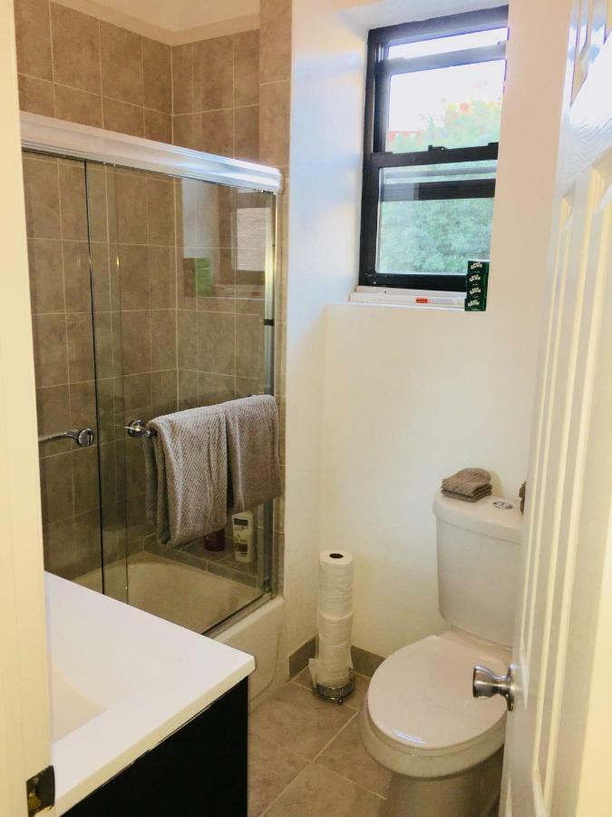 Totally Renovated Brownstone Apt. High Ceilings Apartment New York