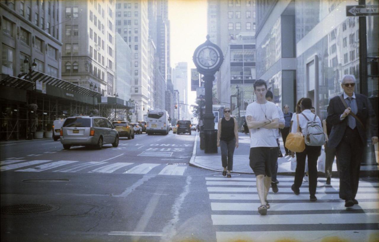 Dom-nyc Haven