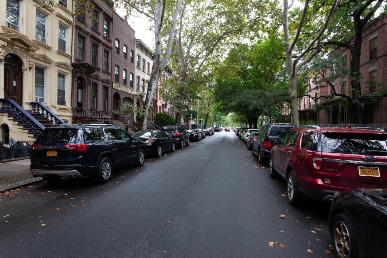Great Cozy Apt New York