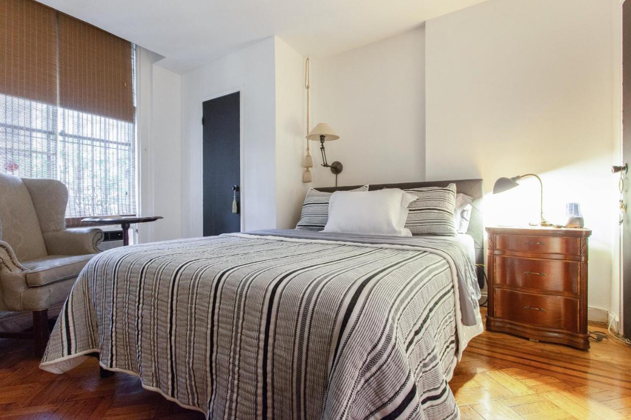 Great Cozy Apt Apartment