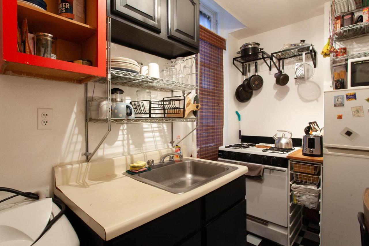 Great Cozy Apt Apartment
