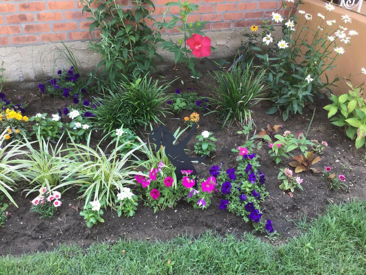 Cozy Near Jfk And Close To Laguardia Homestay *